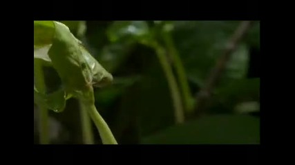 Discovery Channel Planet Earth Time Lapse ft. The Album Leaf 