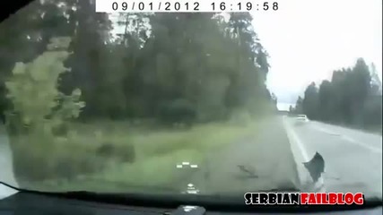 Russian Road Rage