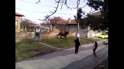 Конят Бойко - Играе кючек 