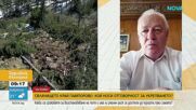 Свлачището край Пампорово остава активно, застрашава ли зимния сезон