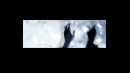 Sensation Black 2007 Trailer - Good quality (amsterdam Arena) 