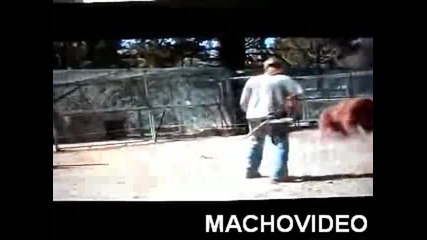 Мечка напада човек 