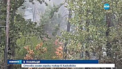 Отново голям горски пожар в Хасковско