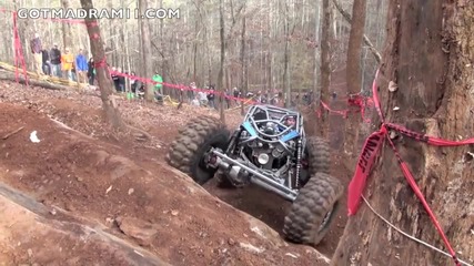 Jordan Tanner Vs Tree