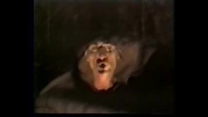 Every New Dead Ghost - Not In A Lifetime 