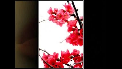 ~for Me~