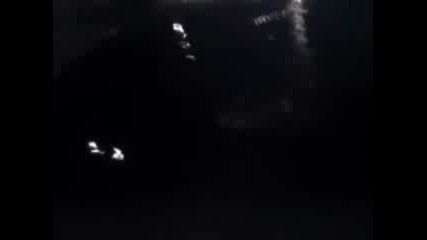 Пиян Мъж Се Мята От Мост