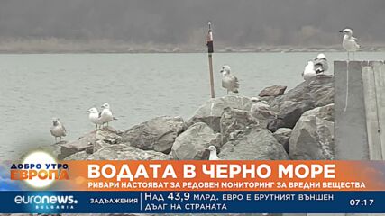 Рибари настояват за редовен мониторинг на водата в Черно море