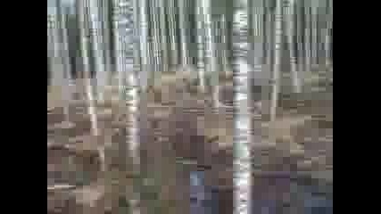 Уаз Offroad
