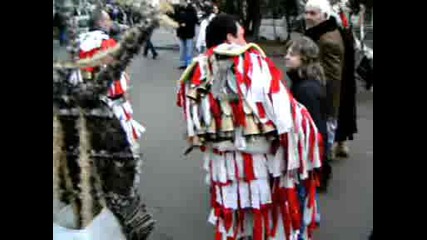 Сурва 2009г. Гигинци