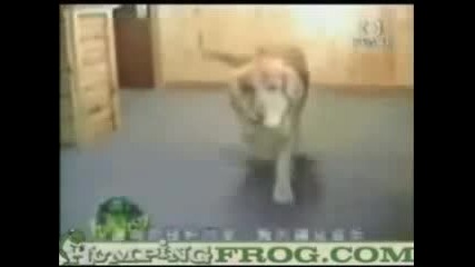 Laughing Outloud Part