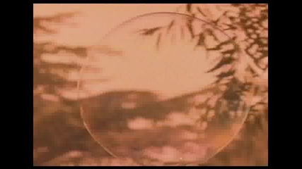 Boy Meets Girl - Waiting For A Star To Fall