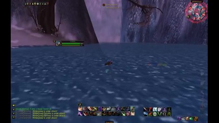 Water Walk Bug