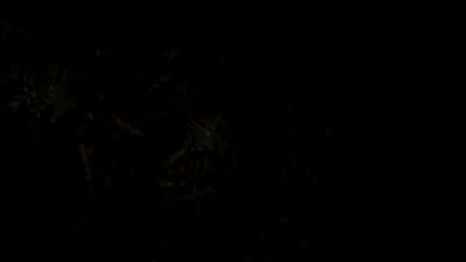 Aliens Vs Predator Hd Trailer 
