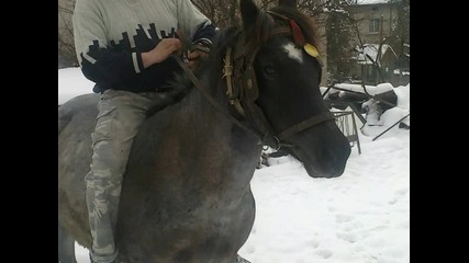 Biser grad roman