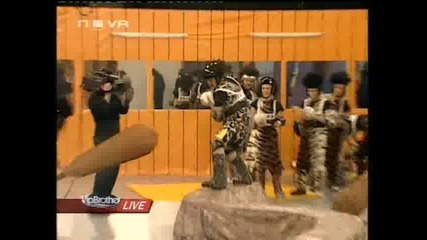 Vip Brother 3 - Изпитание *праисторически яйца*