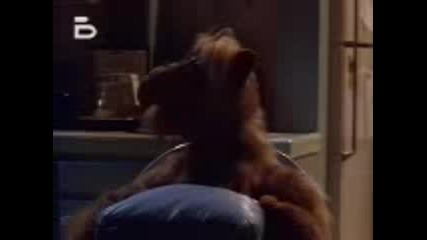 Alf.s01e21