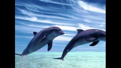 Vanessa Mae - I feel love