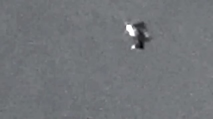 Нло Има ги всякакви
