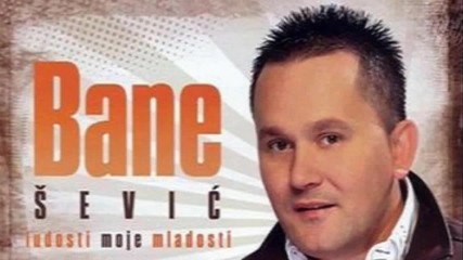 Bane Sevic - Ludosti Moje Mladosti [2012]