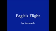Eagle's Flight - Karunesh