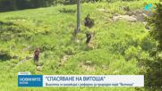 Започва мащабна реформа на Природен парк „Витоша“: Държавата готви нов план за управление и законодателни промени