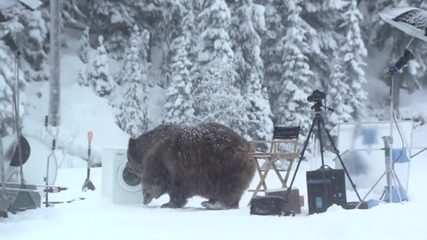 Смешна реклама на Samsung Ecobubble - огромна мечка изненадва снимачния екип