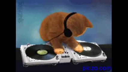 ku4ek - koka
