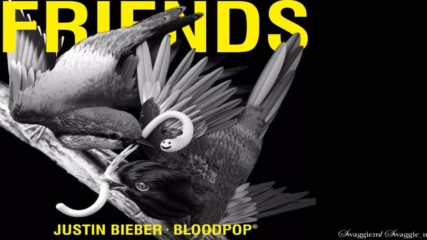Ново! Justin Bieber & Bloodpop - Friends (официално аудио) + Текст и Превод!