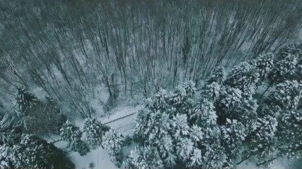 Savo Perovic - Modro Srce - Official Video 2018