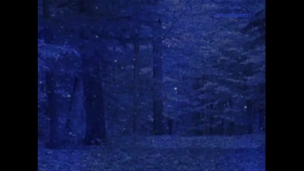 Лека нощ, ангеле мой 