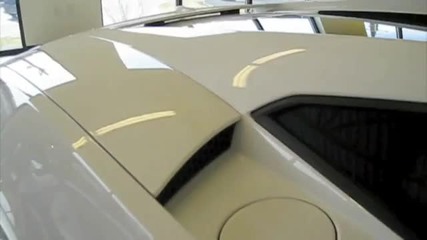 2009 Lamborghini Gallardo Lp560-4 Start Up, Exhaust, In Dept