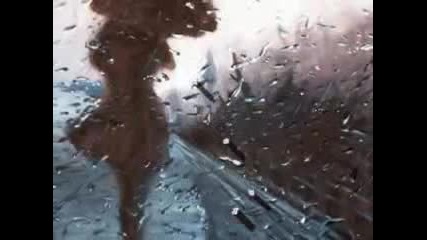 Terzis-grey City