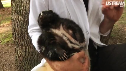 Snoop Dogg Loves Puppies (live on the Internet Song)