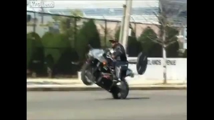 перфектният Stund Cbr 954rr