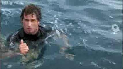 Super Slo - mo Surfer - South Pacific - Bbc Two