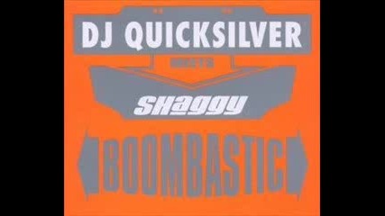 Quicksilver Meets Shaggy - Boombastic