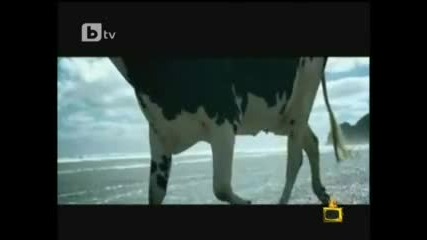 Господари на ефира - цяло предаване