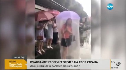 Чадър дъждобран