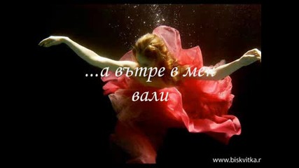 Залез.wmv