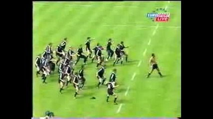 Haka - Maori Dance