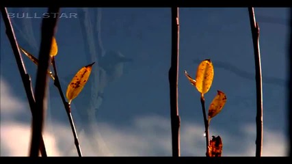 Karunesh - Autumn Leaves 