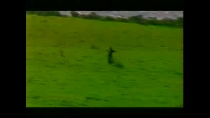 Jorg Sieber ( Dominoe ) - Thats what youre looking for 1994 