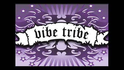 Vibe Tribe - Dream Catcher