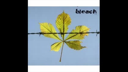 Bleach - Seeing