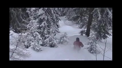 Desire To Fly - Trailer