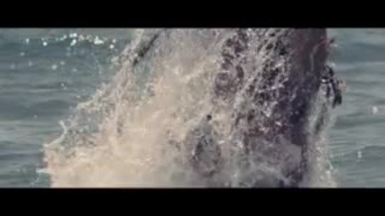 Leona Lewis - Avicii - Collide ( Official Video )