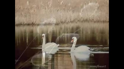 Marc Enfroy - Always