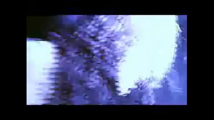 Angelspit - Vena Cava