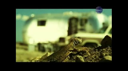Преслава и Елена - Пия за теб